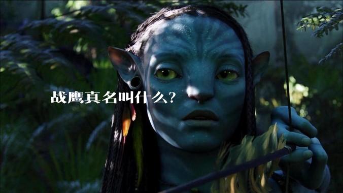 战鹰真名叫什么？