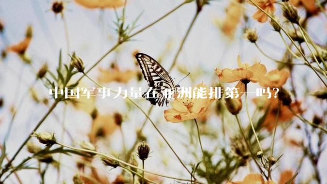 中国军事力量在亚洲能排第一吗？