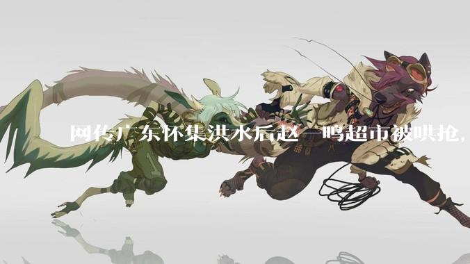 网传广东怀集洪水后赵一鸣超市被哄抢，县***回应相关单位正在核实，若属实哄抢者该承担哪些法律责任？