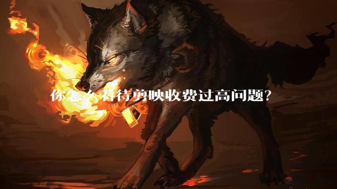 你怎么看待剪映收费过高问题？