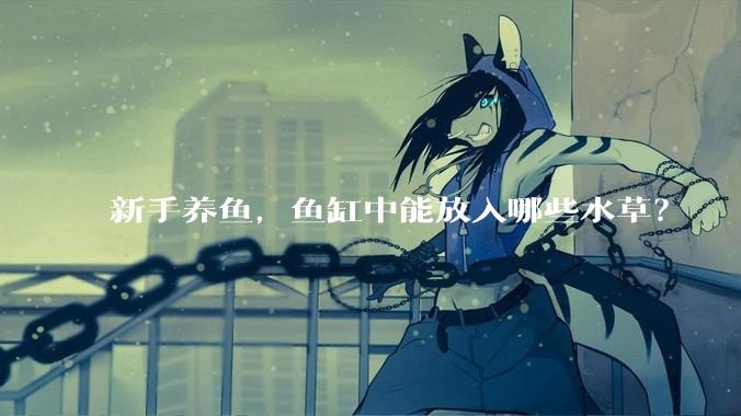 新手养鱼，鱼缸中能放入哪些水草？