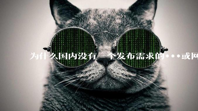 为什么国内没有一个发布需求的***或网站呢？